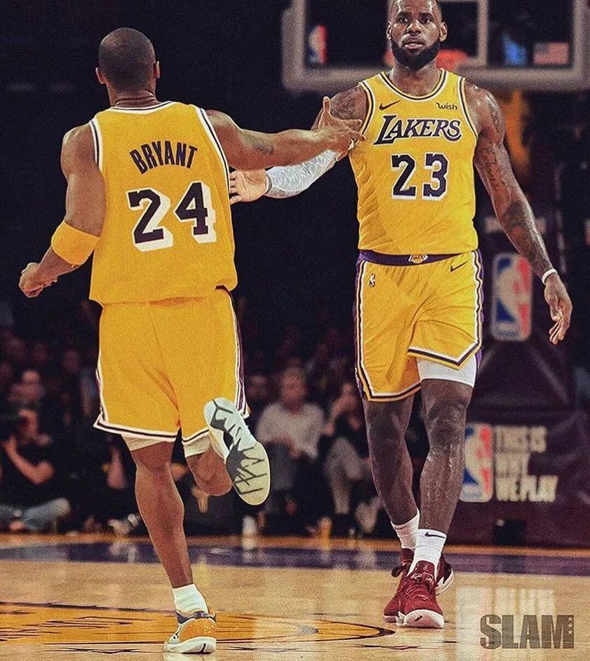 得分榜已现 得分榜已现