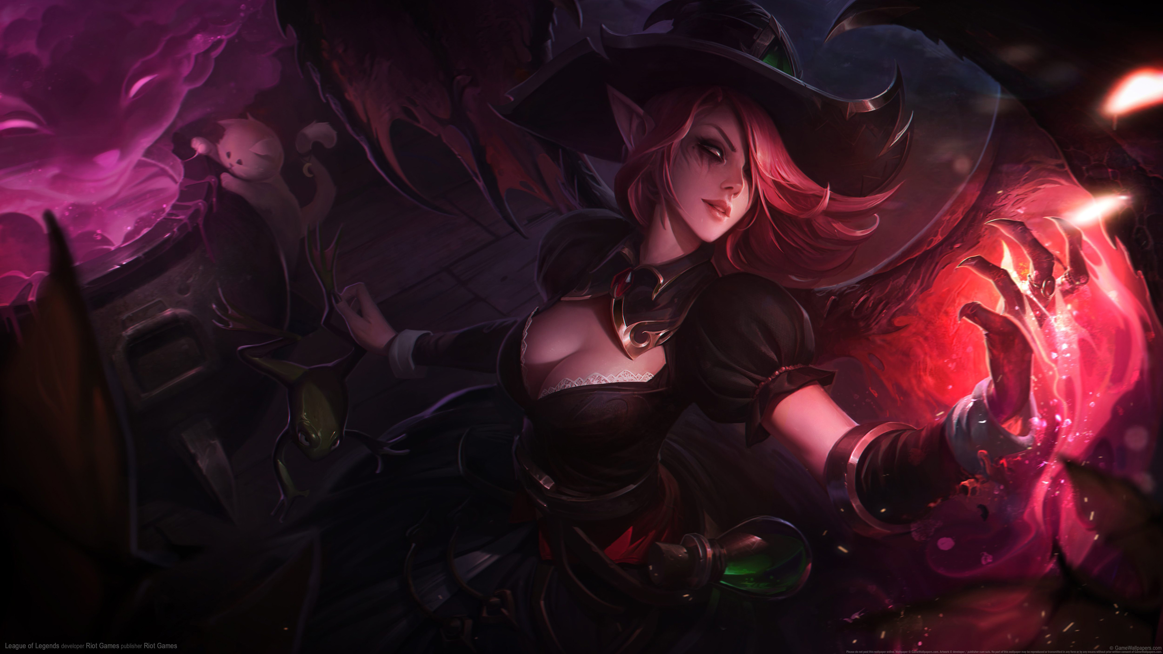 他仍强调 他仍强调